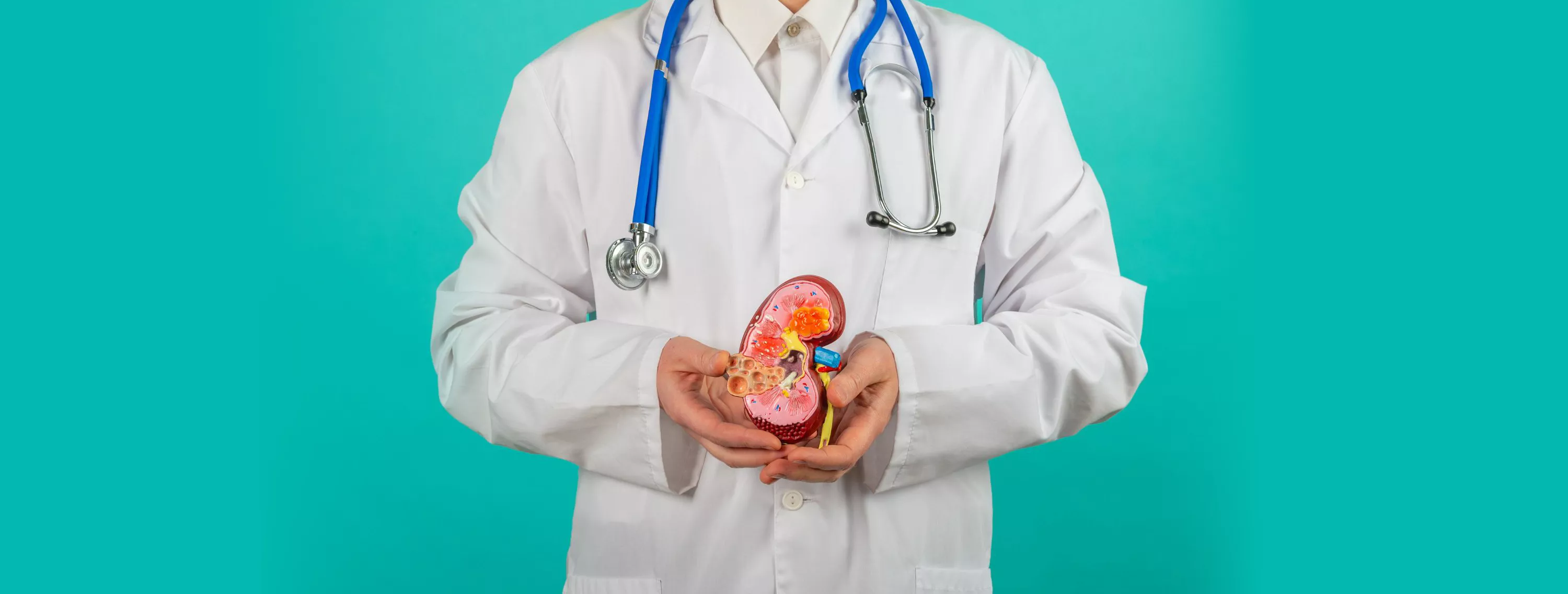 Imagen representativa del pódcast del Dr. Antonio Moreno, nefrólogo en Cádiz, donde se abordan temas relacionados con la enfermedad renal y su tratamiento.