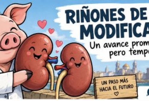 Titulo Titulo